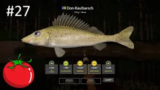 Don-Kaulbarsch in der Kurve | Russian Fishing 4 #27