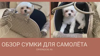 Обзор сумки переноски для собак в самолёт