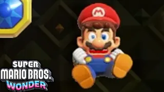 Super Mario Bros Wonder: The FINAL Final Level!