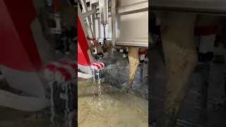 Brush cleaning on the Astronaut A5 milking robot