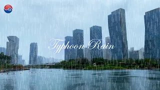 태풍 비, 송도센트럴파크 백색 소음 빗소리, 태풍 힌남노의 위력으로 비바람이 급습했네요. Rain Ambience, Rain ASMR. 서울 트래블 워커