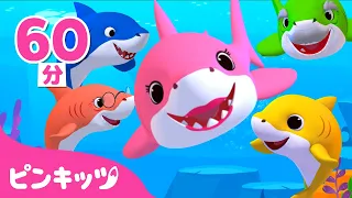 サメのかぞく3Dアニメ★人気曲メドレー | Baby Shark | Youtube再生回数１位のベイビーシャーク | 子供の歌 | ピンキッツ・ベイビーシャーク