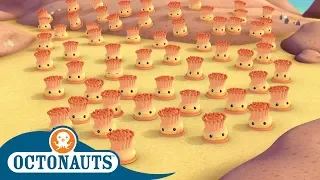 #StayHome Octonauts - The Enemy Anemone | Full Episodes | Cartoons for Kids