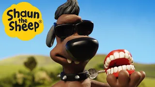 Shaun the Sheep 🐑 Bitzer's New Archnemesis 🐶 Full Episodes Compilation [1 hour]