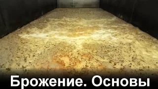 Брожение. Основы