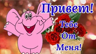 Тебе Привет От Меня! Улыбнись! Музыкальная Открытка Для Тебя!