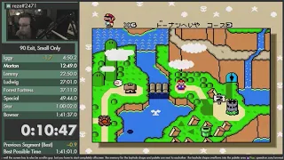 SMW - 90 Exits, Small Only - 1:39:43 [WR]