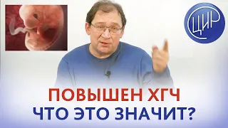 ХГЧ. Повышен ХГЧ по результатам первого скрининга. Отвечает Гузов И.И.