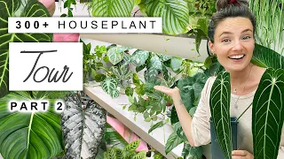 300+ Houseplant Tour 🌿 2023 Plant Collection Home Tour (Rare and Common) 🌱 PART 2