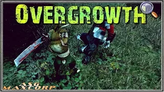 Overgrowth #1 👀 - Первый взгляд.