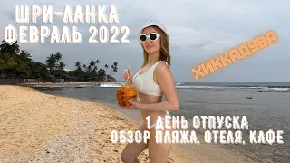 Шри-Ланка Февраль 2022! Хиккадува! Черепаший пляж!