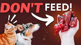 Meat You Shouldn't Feed Your Raw Fed Pet