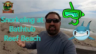 Swimming with SHARKS at Bathtub Reef Beach