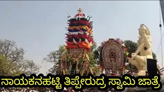 ನಾಯಕನಹಟ್ಟಿ ಜಾತ್ರೆತಿಪ್ಪೇರುದ್ರ ಸ್ವಾಮಿ ಜಾತ್ರೆjatre(@jalaraju crazy vlogs)