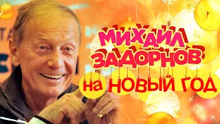Михаил Задорнов на Новый Год | Юмористический концерт