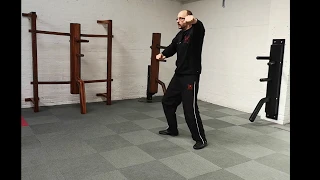 Wing Chun Solo drill. Looking at Pinning hand, punch and wing arm