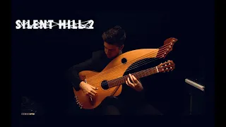 Silent Hill 2 - Promise  (Reprise) - 18 String Harp Guitar - Multi-Track Arr.