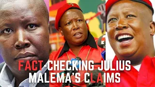 South Africa's Political Landscape: Julius Malema Influence