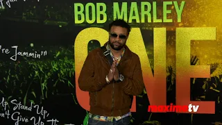 Shaggy "Bob Marley: One Love" Los Angeles Premiere Black Carpet