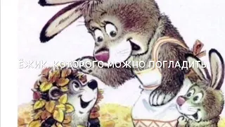 Ёжик, которого можно погладить