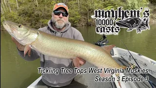 Tickling Trees for West Virginia Muskies - Mayhem's 10000 Casts - Season 3 Episode 3