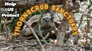 Help Protect Thornscrub Sanctuary