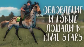 ОБНОВЛЕНИЕ И НОВЫЕ ЛОШАДИ В RIVAL STARS HORSE RACING