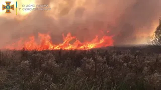 На Сумщині ліквідовуючи пожежу на відкритій території врятували лісовий масив та житловий сектор