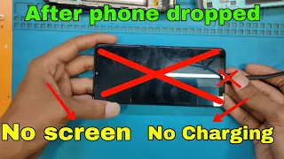 After dropped Phone,No Screen,No Charging...