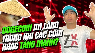 Tại sao Dogecoin giữ giá trong khi các đồng coin khác tăng mạnh? | Có nên tiếp tục giữ Dogecoin?