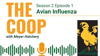 Avian Influenza - The Coop Podcast S2, E1