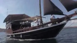 Ikan Biru Komodo Liveaboard