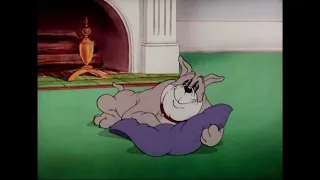 Tom and Jerry   Quiet Please!   002