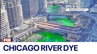 Chicago River Dye 2024 Timelapse