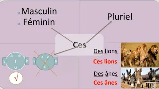 French Grammar (Ce - Cet - Cette - Ces) - this /these/those in french