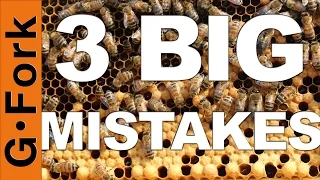 3 Mistakes Beginning Beekeepers Make - GardenFork