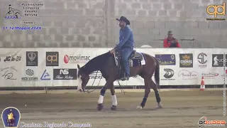 2 show ACCR 2024 - PICCOLO LUCA & CLIFF SHINING GUN score 71,5