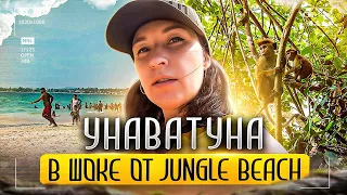 Шри-Ланка. Унаватуна. В шоке от пляжа Джангл Бич (Jungle Beach)