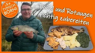 Döbel / Aitel und Rotaugen / Plötzen richtig zubereiten