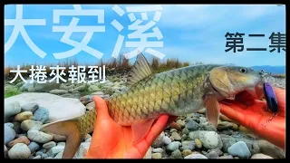 我的探索之旅-大安溪 第二集-大捲來報到#捲仔#Taiwan fishing#大安溪#路亞lure