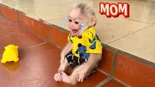 Baby monkey Abi cried because she missed her mother