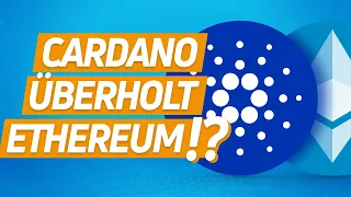 Cardano-Rallye! Die Hintergründe!