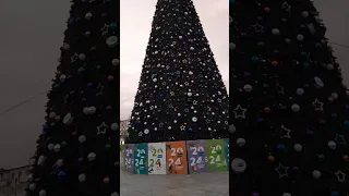 вечером, сегодня открытие Главную Новогоднюю елку. Площади Ленина Симферополь  19 декабря 2023 г.