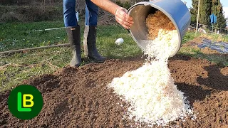 When you see this, you will never throw sawdust in the trash again. Double the yield
