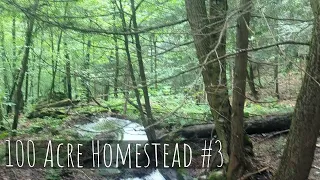 Exploring a possible spring | 100 Acre Homestead #3