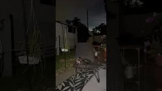 Bjorn the Cat loves Night Rain Storms outside RV