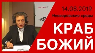 Краб божий. Невзоровские Среды на «Эхо Москвы» эфир 14 августа 2019