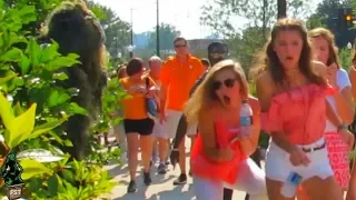 BUSHMAN SCARE PRANK AT UNIVERSITY OF TENNESSEE