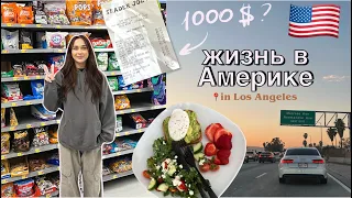 ВЛОГ моя жизнь в Америке 🇺🇸 магазины, цены, продукты