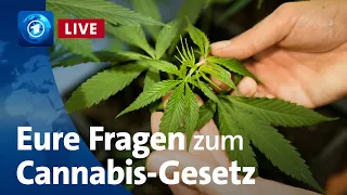 Cannabis-Teillegalisierung: Was heißt das für die Strafverfolgung? | Bericht aus Berlin Extra